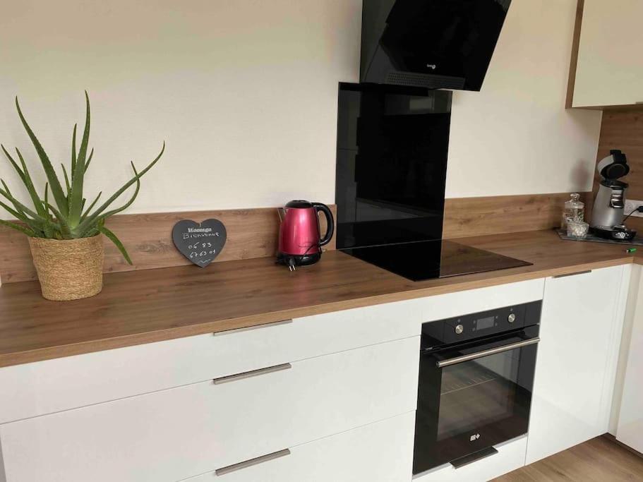 Le Chasseur Alpin Apartment Albertville Bagian luar foto